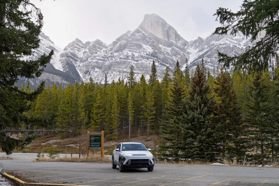 Should I do a working holiday in Canada? - A Guide on Everything You Need To Know To Decide